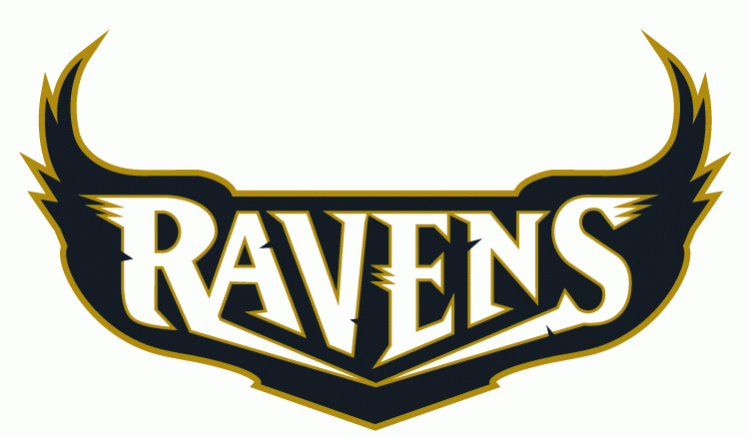Baltimore Ravens 1996-1998 Wordmark Logo v3 DIY iron on transfer (heat transfer)